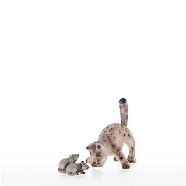 Katze mit breiten Vorderbeinen