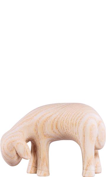 Schaf grasend Fides Schaf grasend Fides