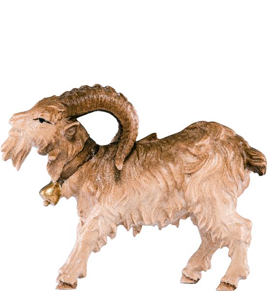Ziegenbock