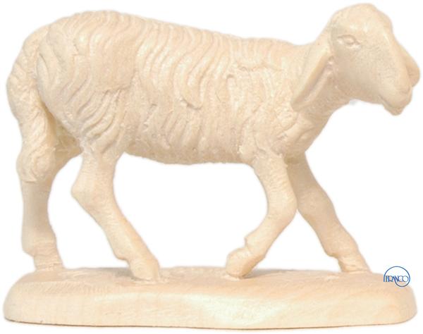 Schaf klein Schaf klein