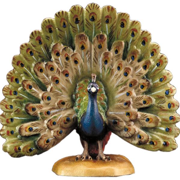 Pfau