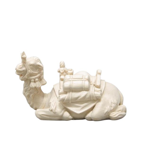 Kamel liegend Kamel liegend