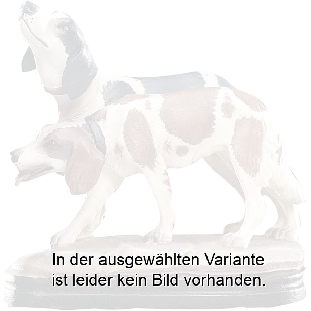 Hundegruppe