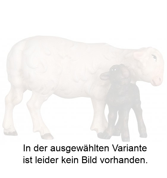 Schaf mit schwarzem Lamm