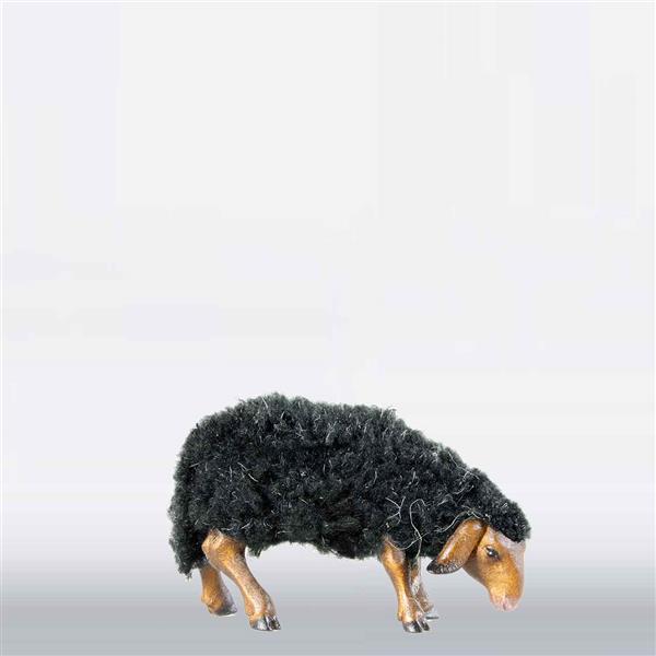 Schaf mit Wolle äsend schwarz