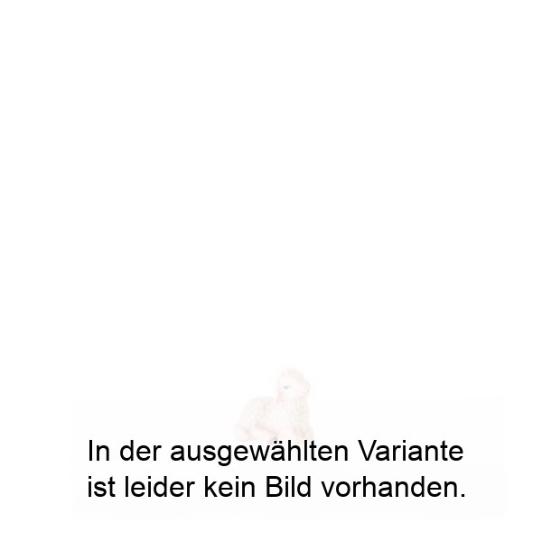 Lamm liegend Lamm liegend
