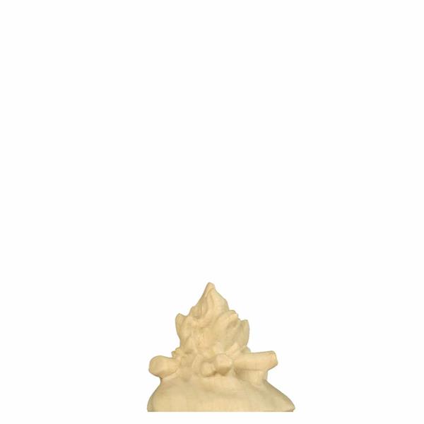 Lagerfeuer Leo-Krippe Lagerfeuer Leo-Krippe