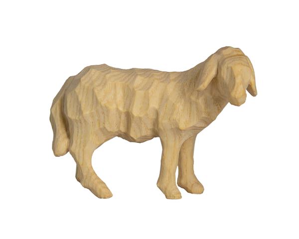 Schaf schauend Schaf schauend