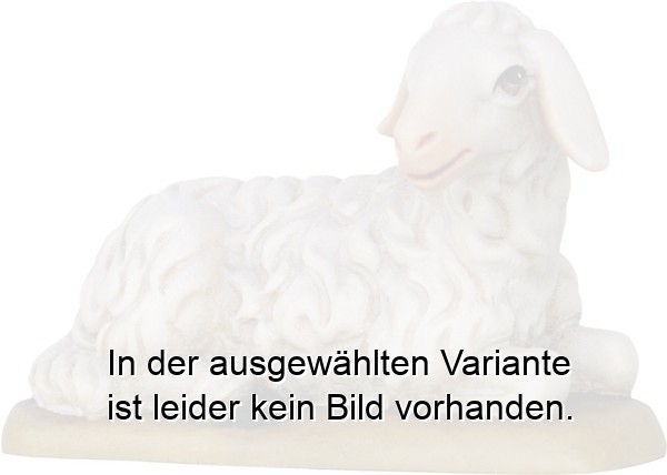 Schaf liegend Schaf liegend