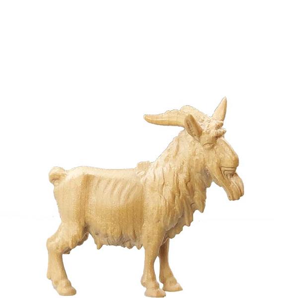 Ziegenbock