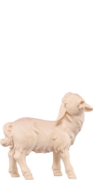 Lamm stehend Artis Lamm stehend Artis