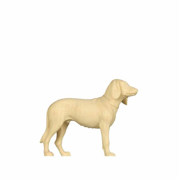 Jagdhund Jagdhund