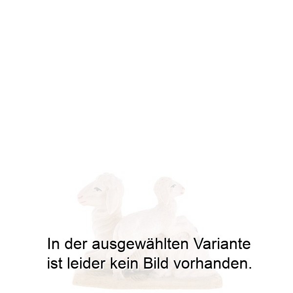 Schaf mit Lamm Schaf mit Lamm