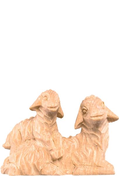 Schafgruppe liegend