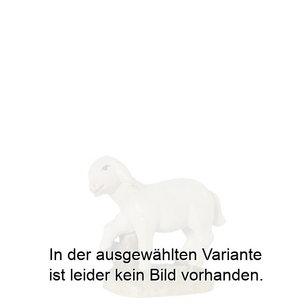 Schaf stehend Leo-Krippe - Esche Schaf stehend Leo-Krippe - Esche