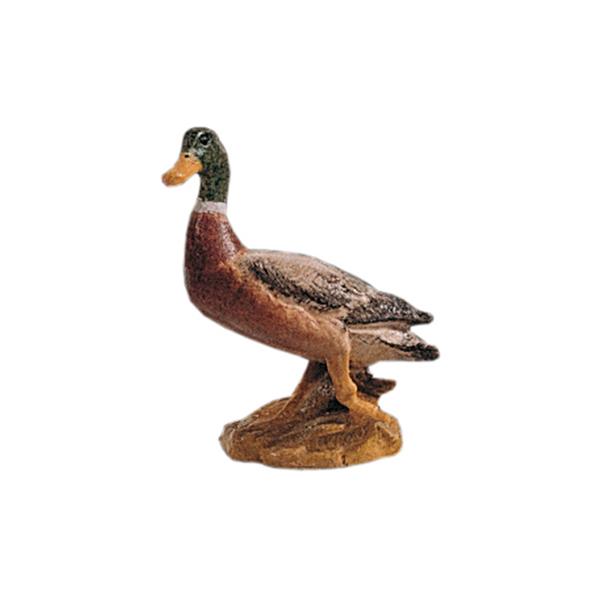 Wildente Wildente