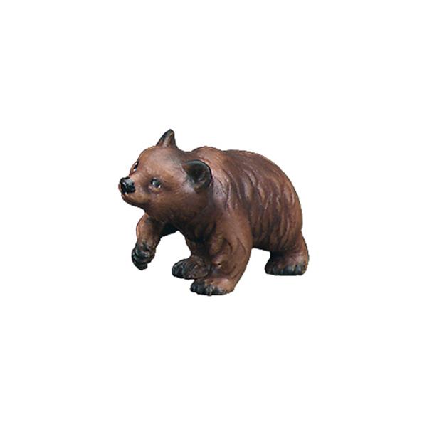 Junger Bär