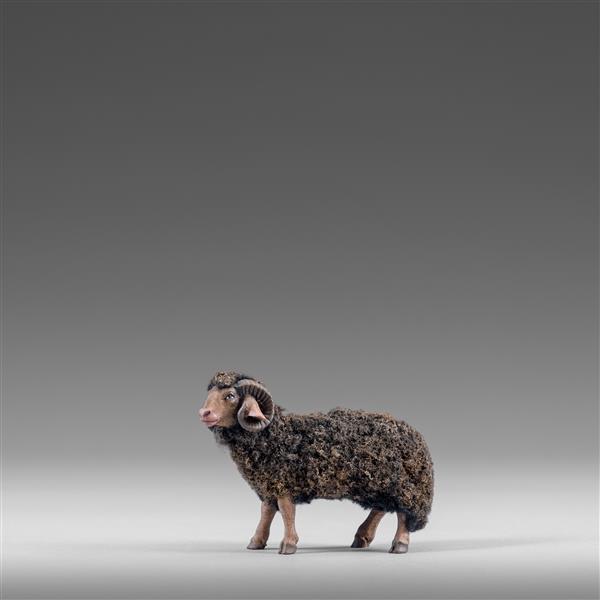Widder mit Wolle schwarz Widder mit Wolle schwarz
