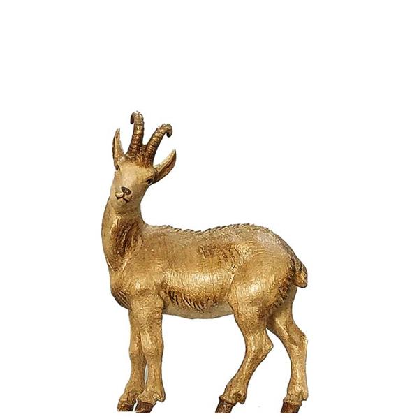Gemsbock
