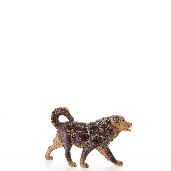 Schäferhund