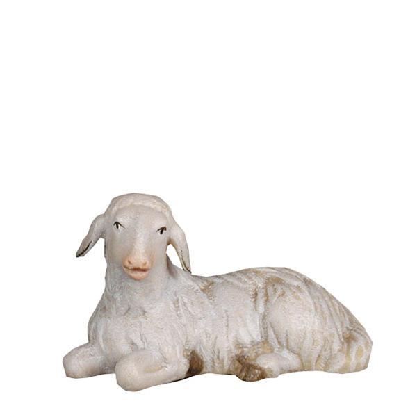 Schaf liegend Schaf liegend