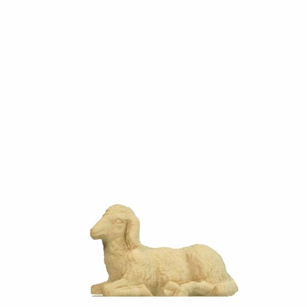 Schaf liegend Schaf liegend