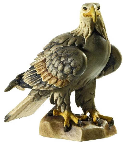 Adler sitzend Adler sitzend