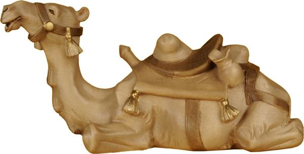 Kamel liegend Kamel liegend