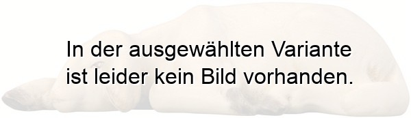 Schaf modern liegend Schaf modern liegend