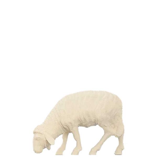 Schaf fressend