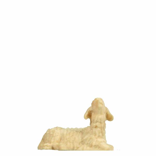 Schaf liegend Kopf links Schaf liegend Kopf links