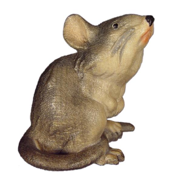 Maus sitzend in Zirbel