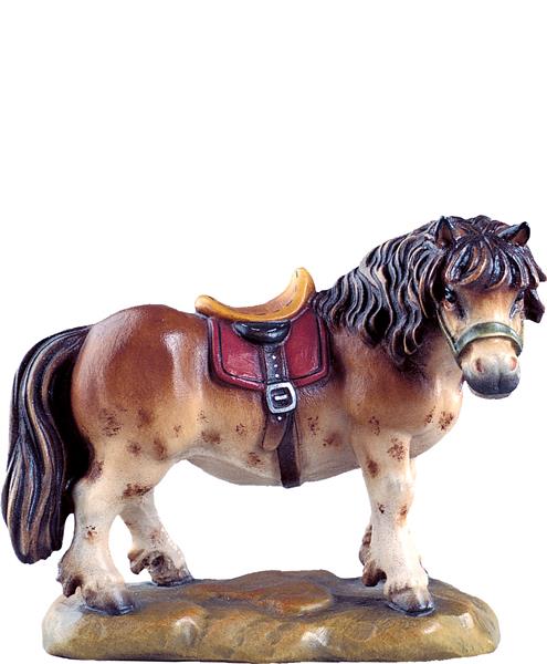 Pony Pony