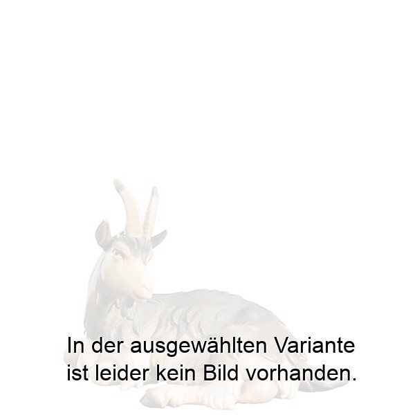 Ziege liegend Ziege liegend
