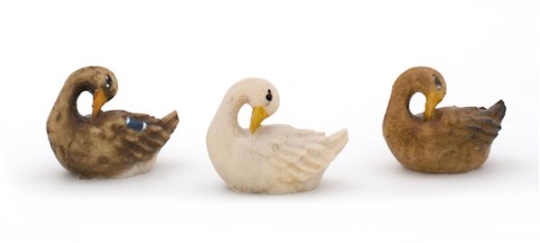 Gans schwimmend