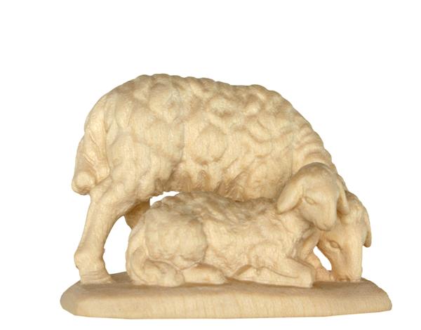 Schafgruppe liegend Schafgruppe liegend