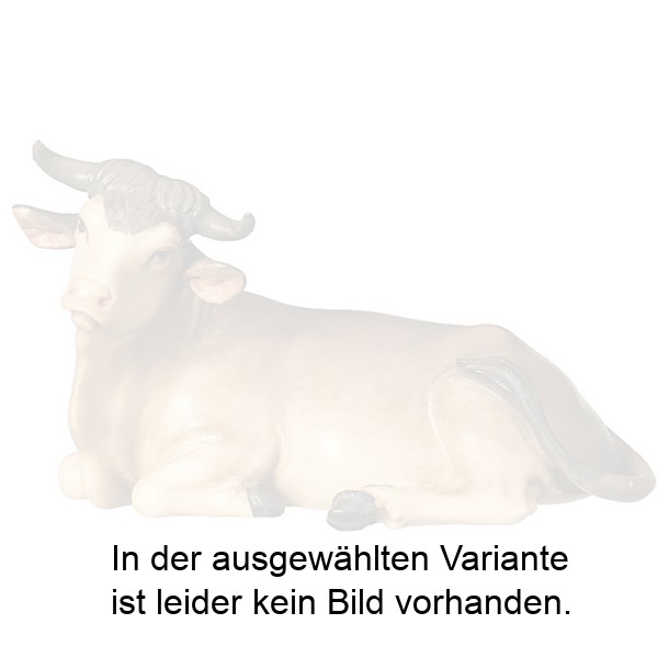 Ochs liegend