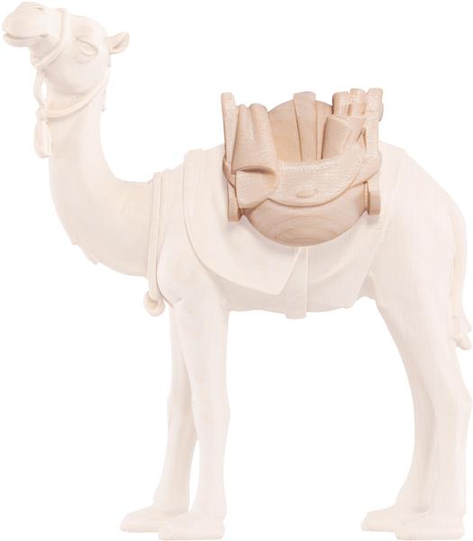 Gepäck für Kamel Artis Gepäck für Kamel Artis