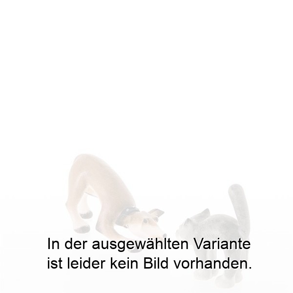 Hund Hund