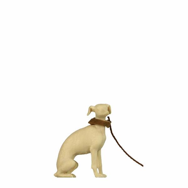 Sitzender Windhund Sitzender Windhund