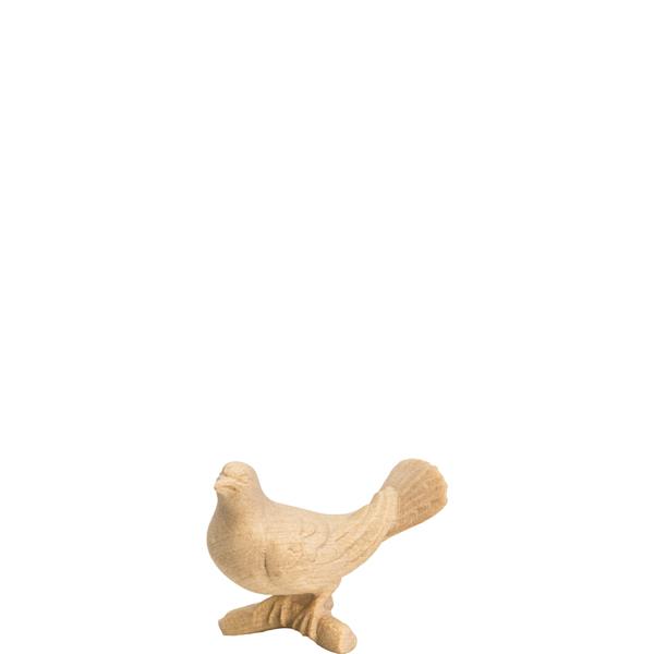 Taube n.v.schauend Taube n.v.schauend