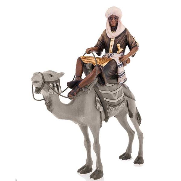 Kamelreiter Kamelreiter