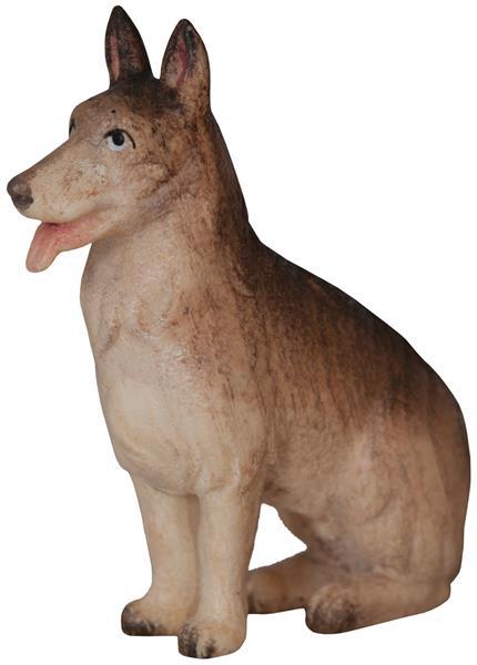 Schäferhund