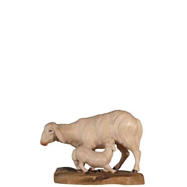 Schaf mit Lamm Schaf mit Lamm