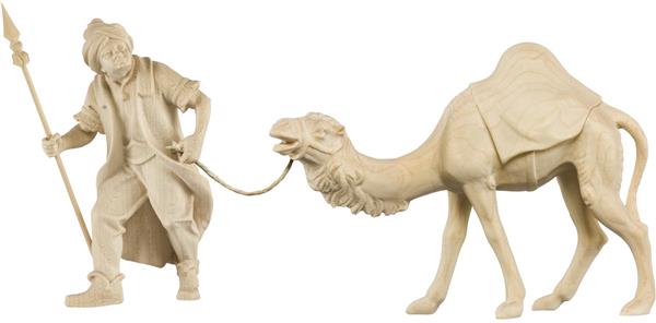 Kamel mit Treiber und Gepäck