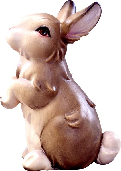 Hase stehend grau Hase stehend grau