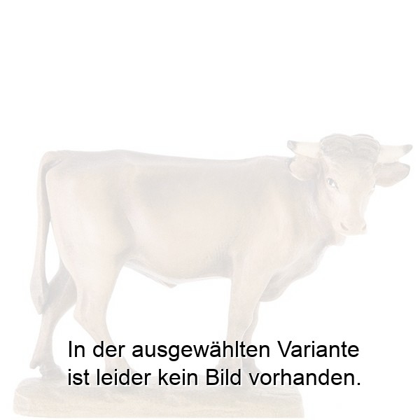 Ochs stehend Ochs stehend
