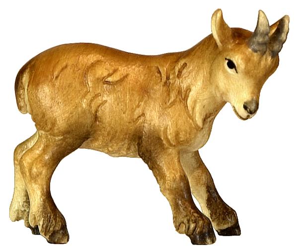 Steinbockkitz