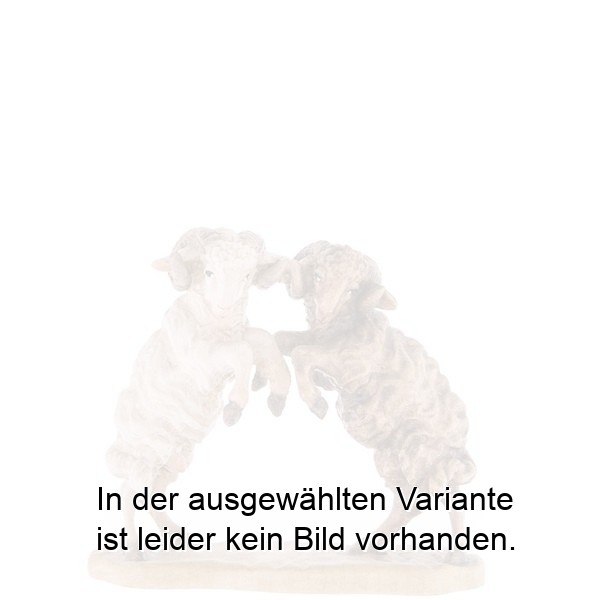 Zwei zankende Schafböcke