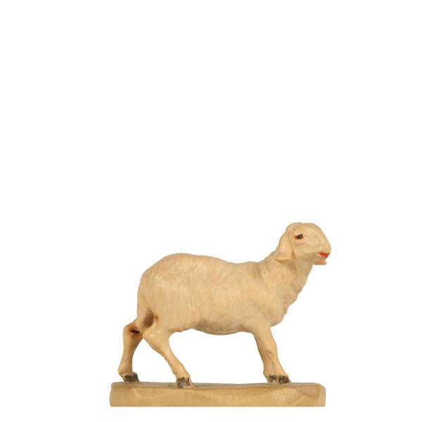 Schaf stehend Schaf stehend